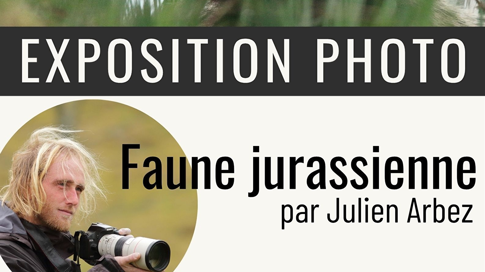 Exposition photo - faune jurassienne 