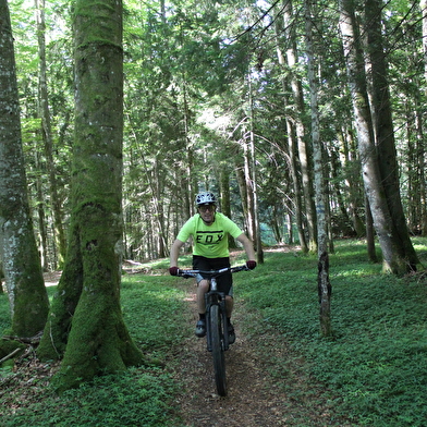 Parcours VTT 57 bleu - Les étangs Marron - Espace FFC Ain Forestière