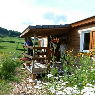 Chalets de Chalaux - Campanule