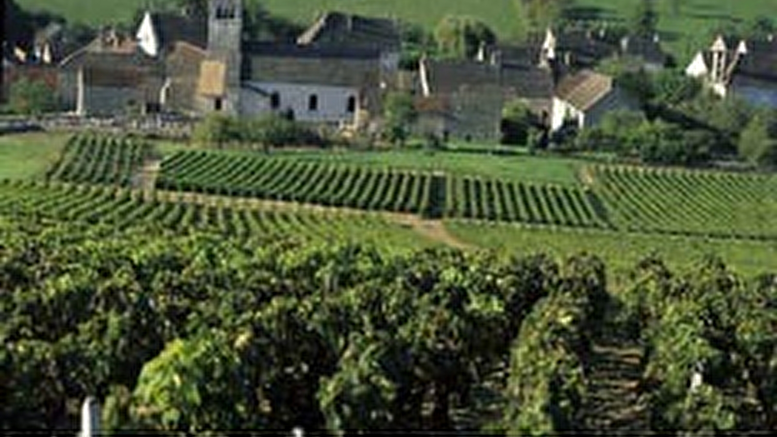 La Route Touristique des Grands Vins de Bourgogne