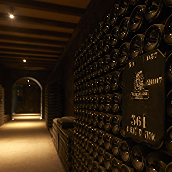 Visite révélations : initiation aux vins de Bourgogne et dégustation dans les caves Patriarche - BEAUNE