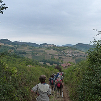 Sur le chemin des vallons de Lamartine