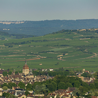 Bienvenue en Bourgogne : Escapades en Bourgogne
