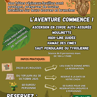 Symbiose Forêt