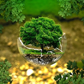 Programmation: Fête de la nature - BROGNARD