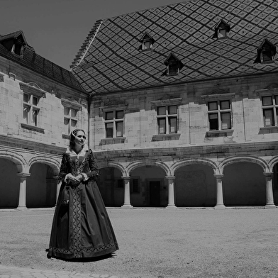 Visite théâtralisée costumée : Besançon à la renaissance 