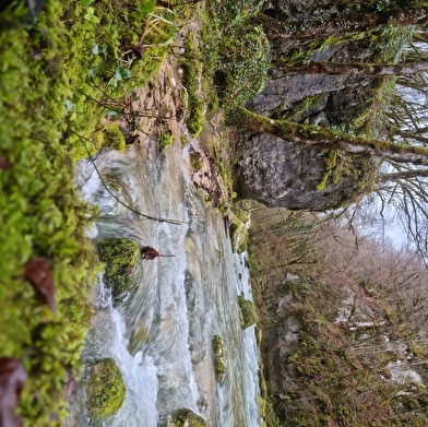 Sentier Courbet 6 : Le Ravin du Puits Noir, l'atelier en nature