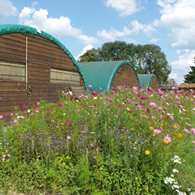 Ferme de Viennette - E.s.a.t de Montret