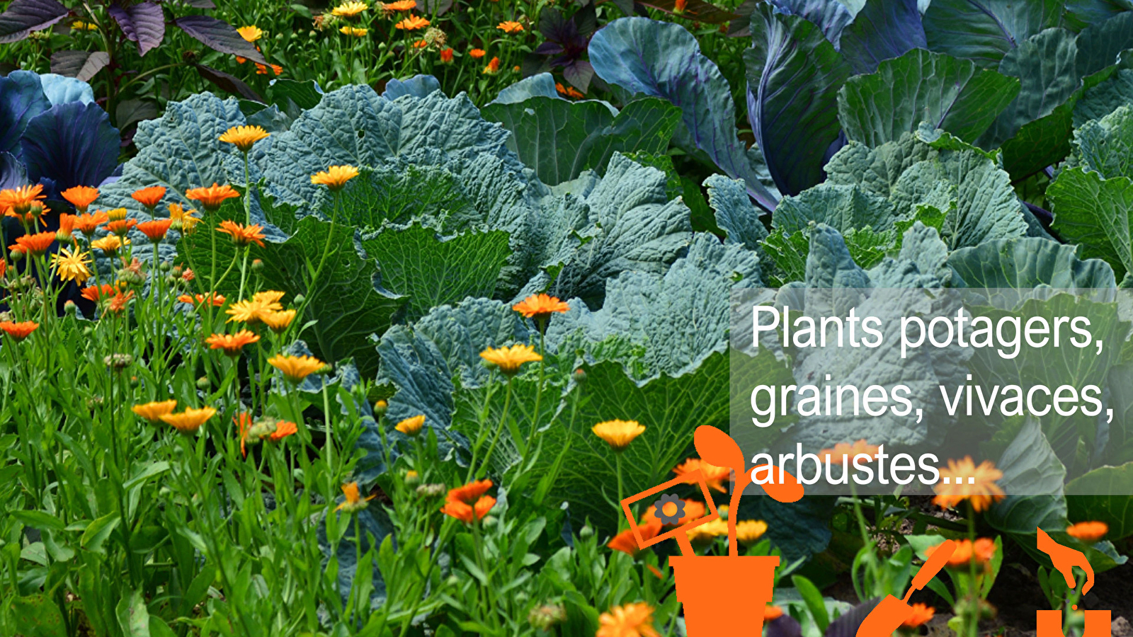 Troc Plants