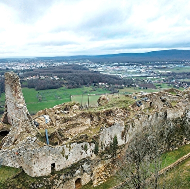 Visites guidées du château de Montfaucon