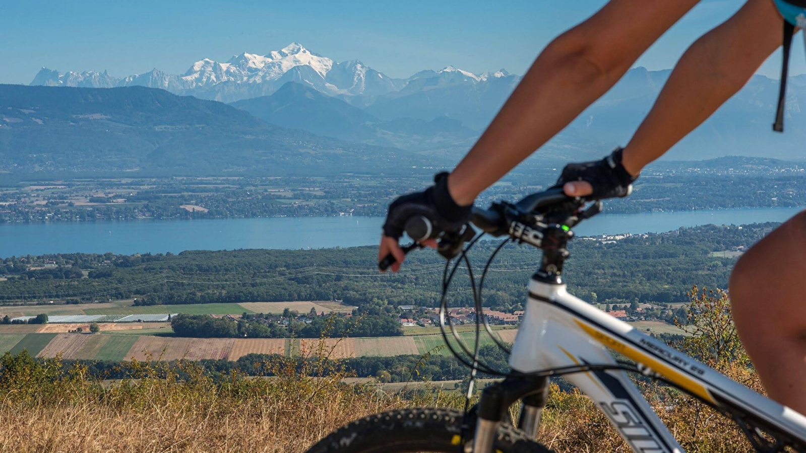 Parcours VTT 80 - vert - les Devins - Espace FFC Ain Forestière