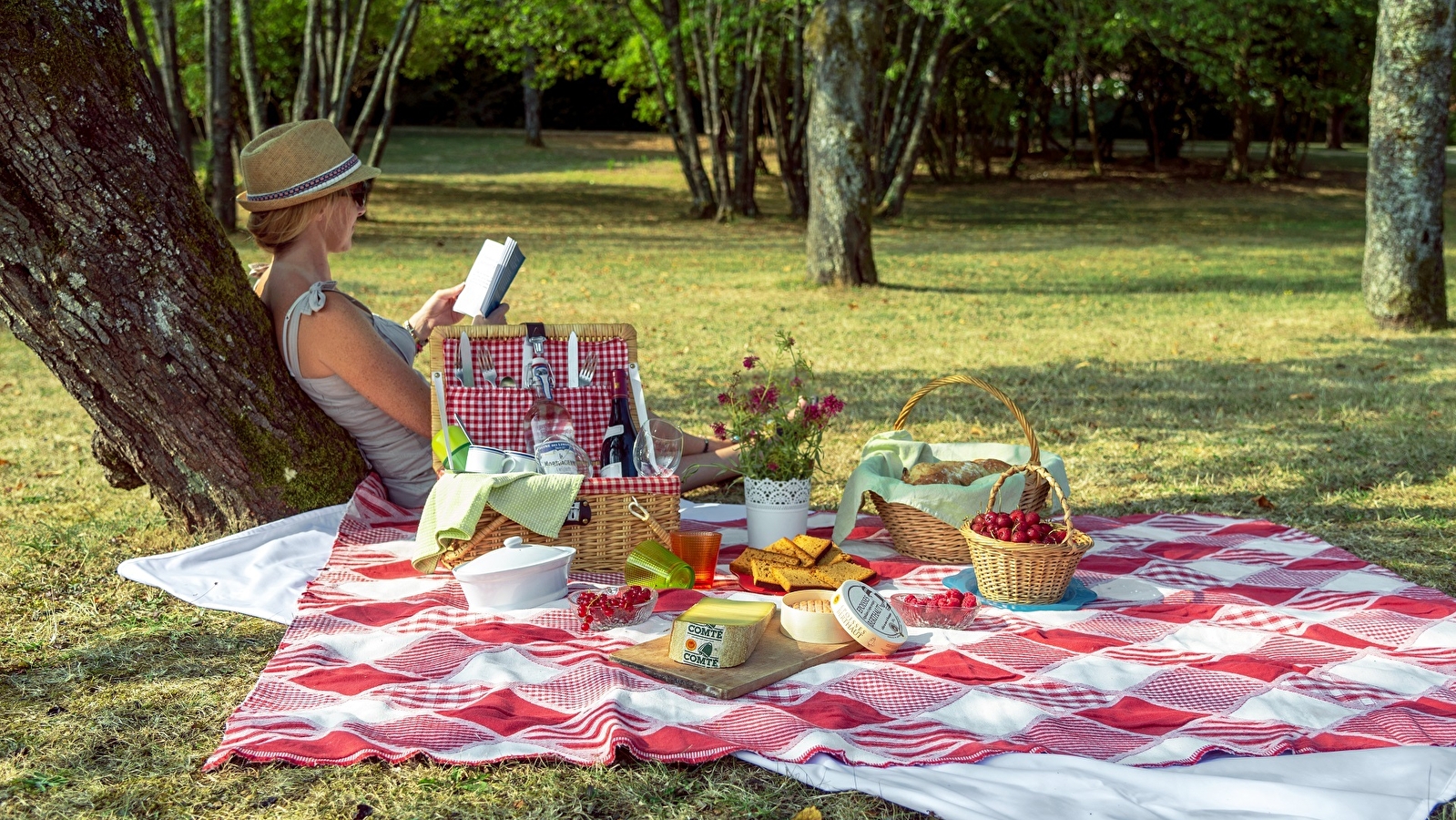 Fantastic Picnic 'En quête des sommets'