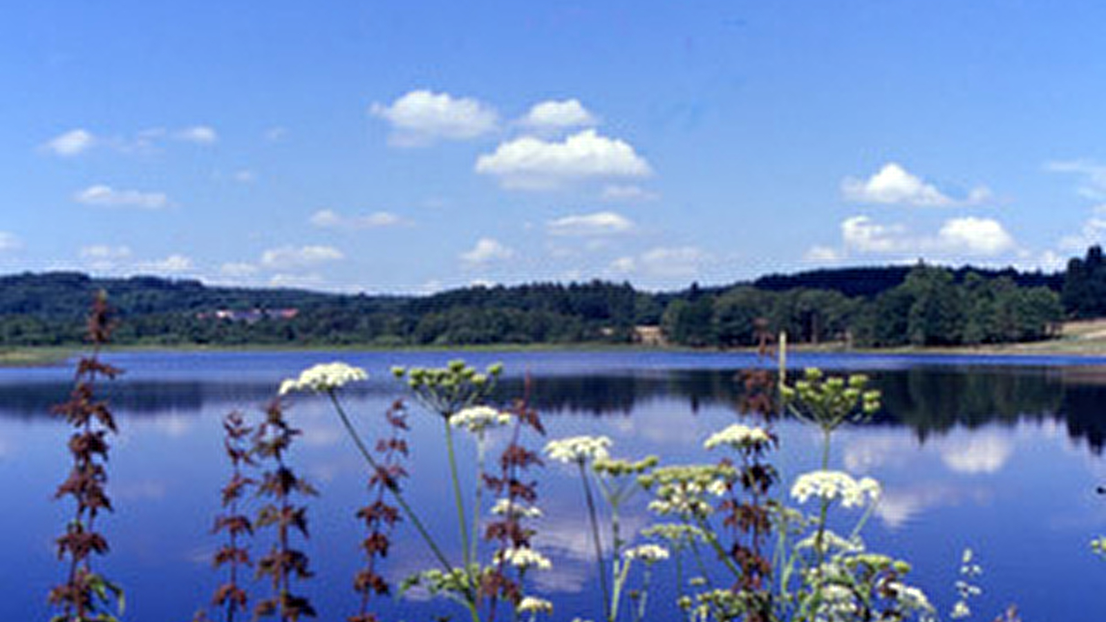 Sentier de la nature du petit lac de Pannecière