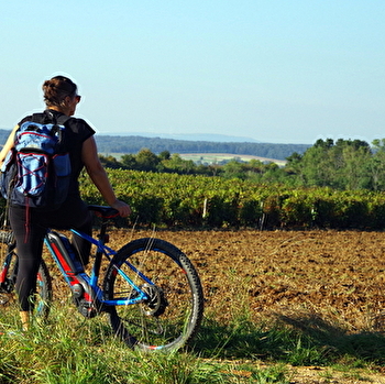 La boucle des Vieilles Vignes - MARNAY