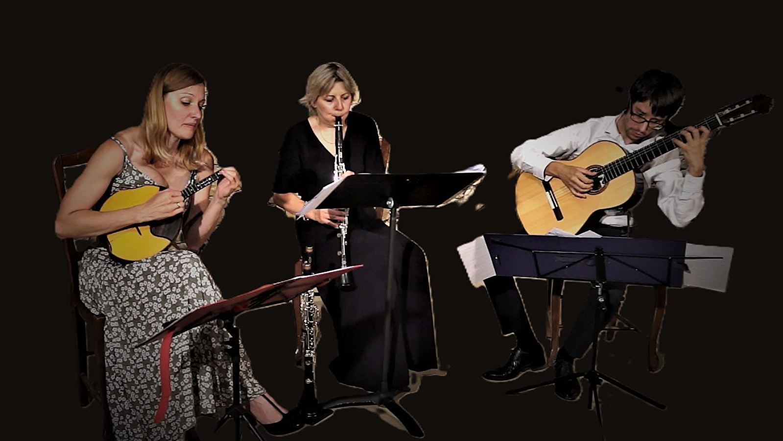 Festival de Bourgogne du Sud - Concerts