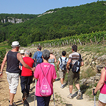 Visite guidée du Sentier de la Bossière - GEVREY-CHAMBERTIN