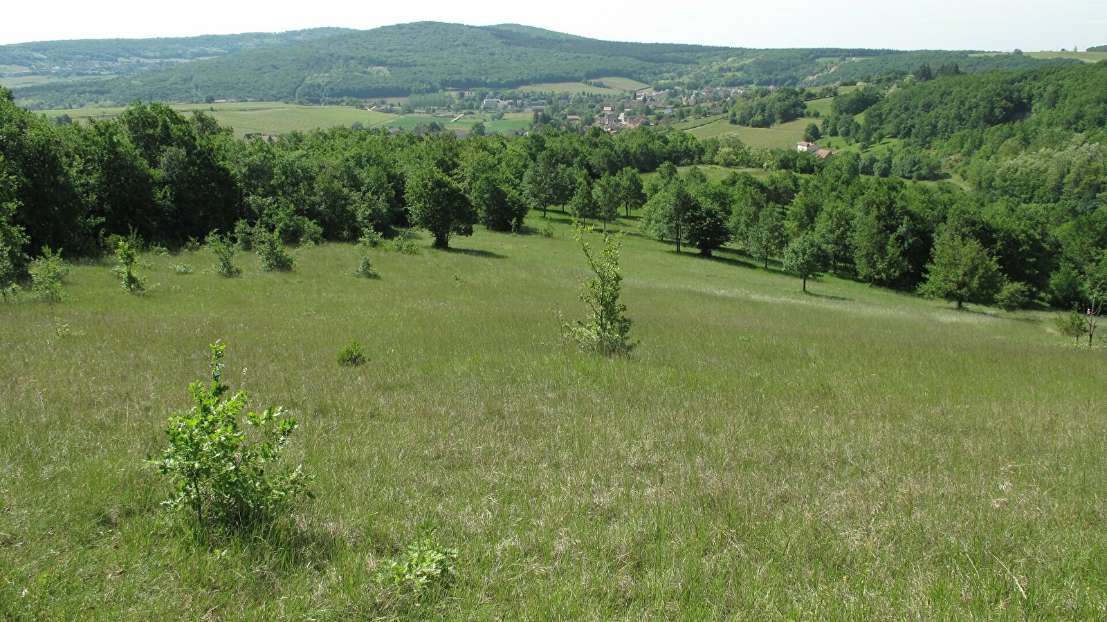 La Boucherette