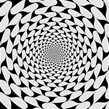 Atelier famille - Illusions d'optique - DOLE