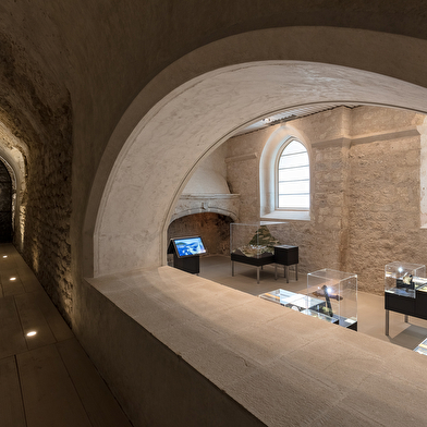 Musée de l'Abbaye / donations Guy Bardone - René Genis