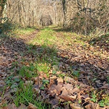 Balade sensorielle , promenons-nous dans les bois à Magny-Montarlot - ENS 2025 - MAGNY-MONTARLOT