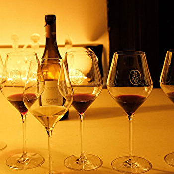 Vignobles en Scène s'invite à Bellevigne : Atelier au coeur de la vigne - CHAMBOLLE-MUSIGNY