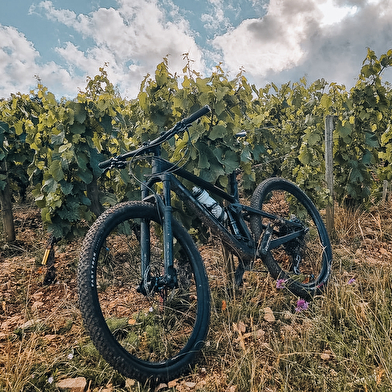 VTT – Route des Vins en Bourgogne