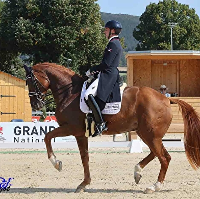 Concours Hippique - Grand National de dressage