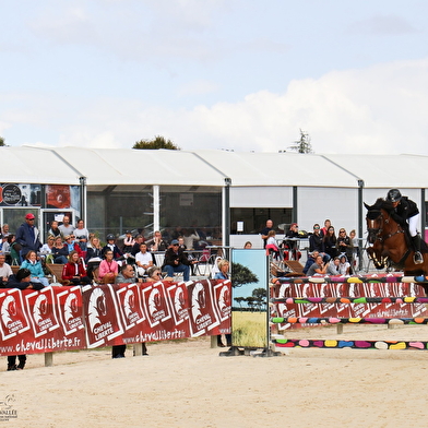 Concours Hippique - SHF jeunes chevaux