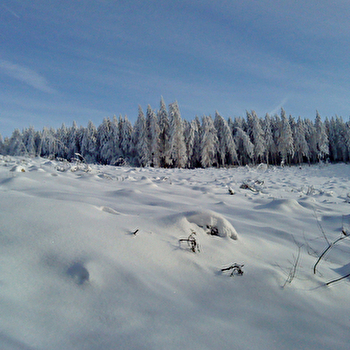 Association SKIMO ou comment skier sur le massif du Haut Folin - ARLEUF