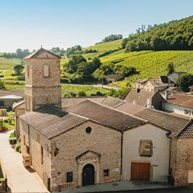 Domaines Auvigue