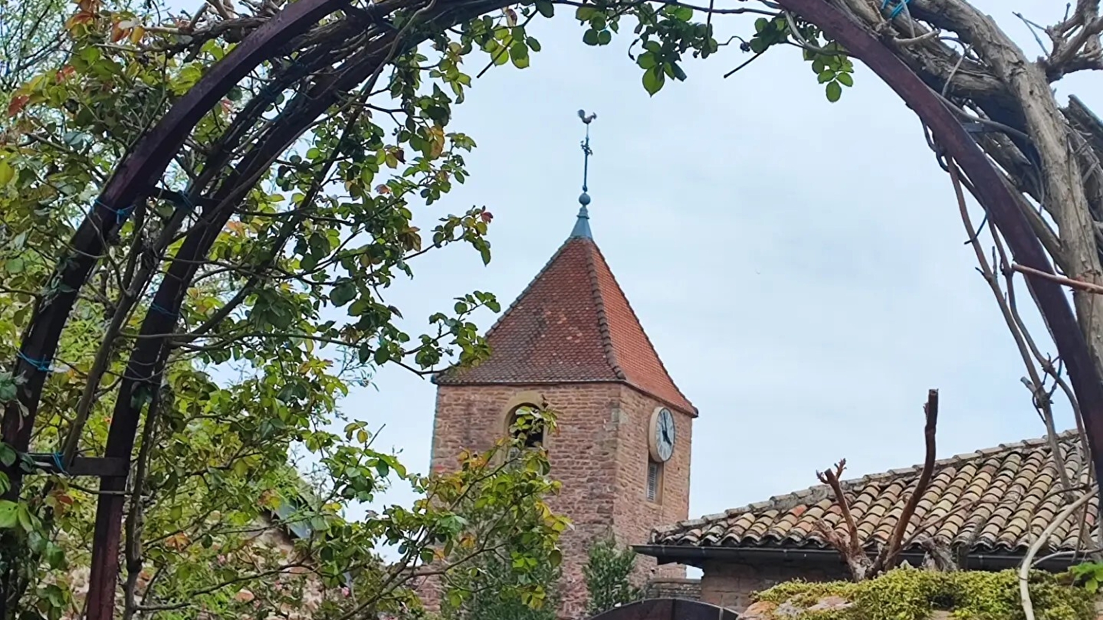 Les naturgourmandes : Leynes
