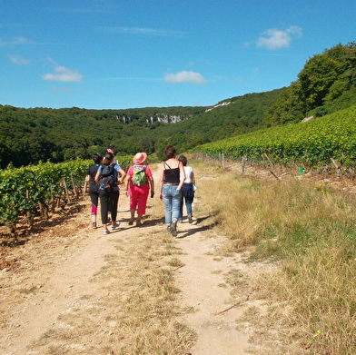 Visite guidée du Sentier de la Bossière