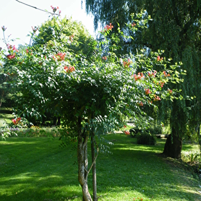 Le parc de l'etang