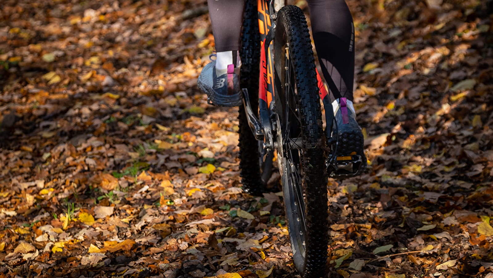 Circuit de VTT : Boucle n°17 de Lormes