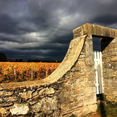 Domaine de la Folie