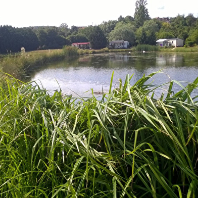 Camping Moulin de Collonge