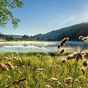 La Grande Traversée du Jura à pied - GTJ pédestre - CERNIEBAUD