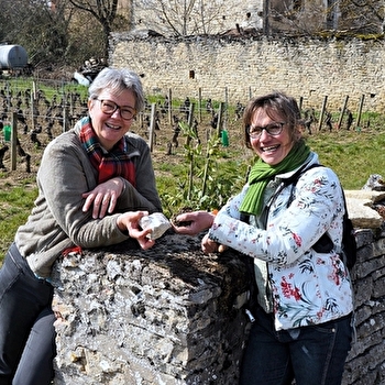 Festival de Bach à Bacchus - La Clé des sols - A la recherche du pinot perdu - MEURSAULT