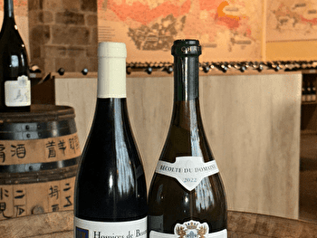 Marché aux Vins - Vente des Vins 2025 - Dégustation GRANDS TERROIRS  - BEAUNE