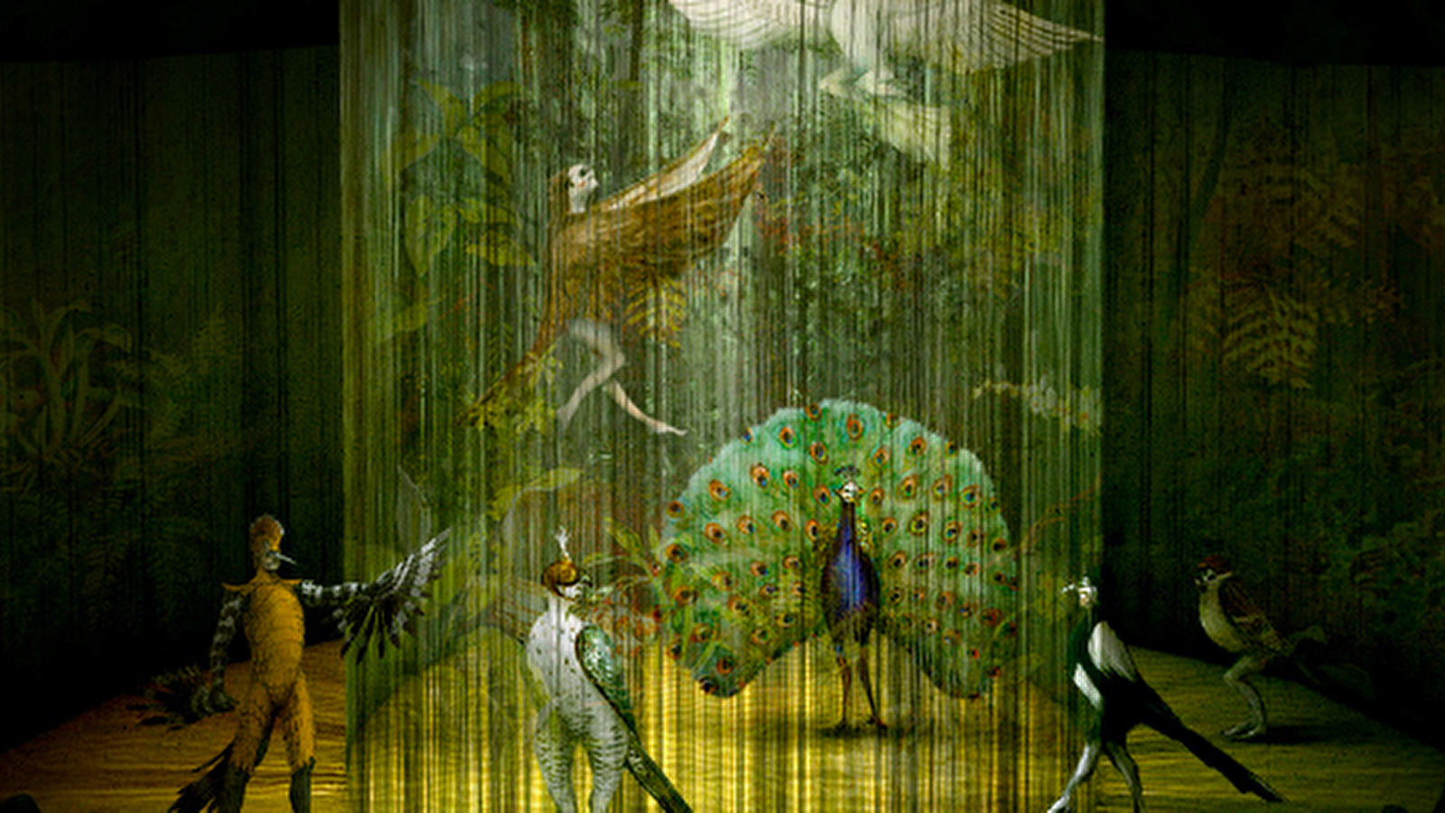 La Conférence des oiseaux - Théâtre des Frères Forman