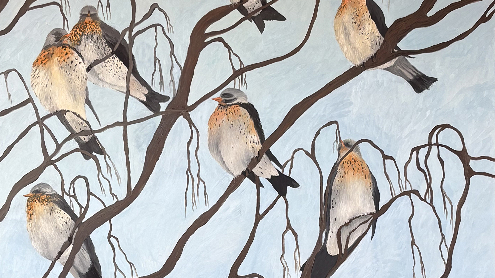 Exposition temporaire 'Animal ! Dans le secret de la nature'