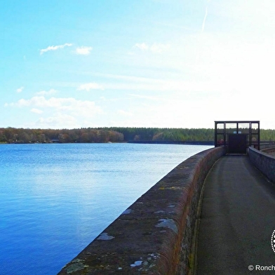 Bassin de Champagney