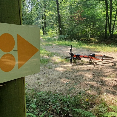 Liaison VTT-VTC entre Bresse et Revermont