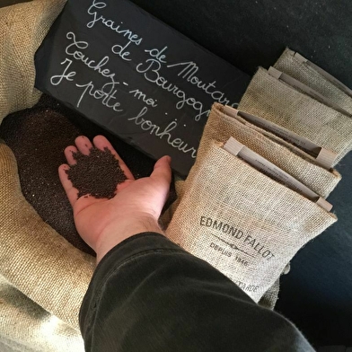 Atelier de création de la véritable Moutarde à Dijon