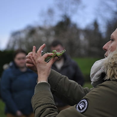 Balade ornithologique