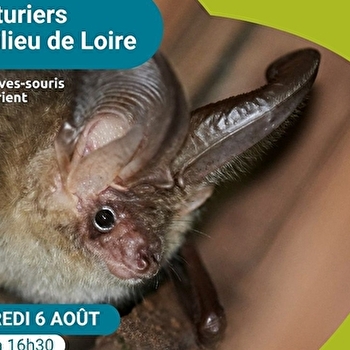 Les aventuriers du milieu de Loire, journée nature pour les 6-12 ans spéciale 'Les chauves-souris vous sourient' - POUILLY-SUR-LOIRE