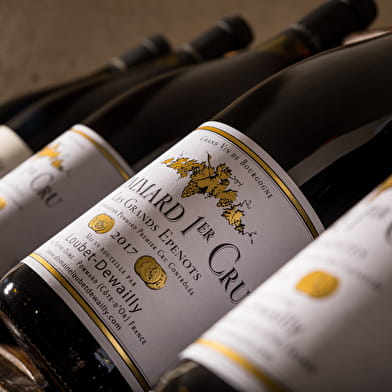 Domaine Loubet-Dewailly - Vente des Vins 2025 :  Dégustation Horizontale  'Découverte' : Pinot noir de la Côte de Beaune 2024