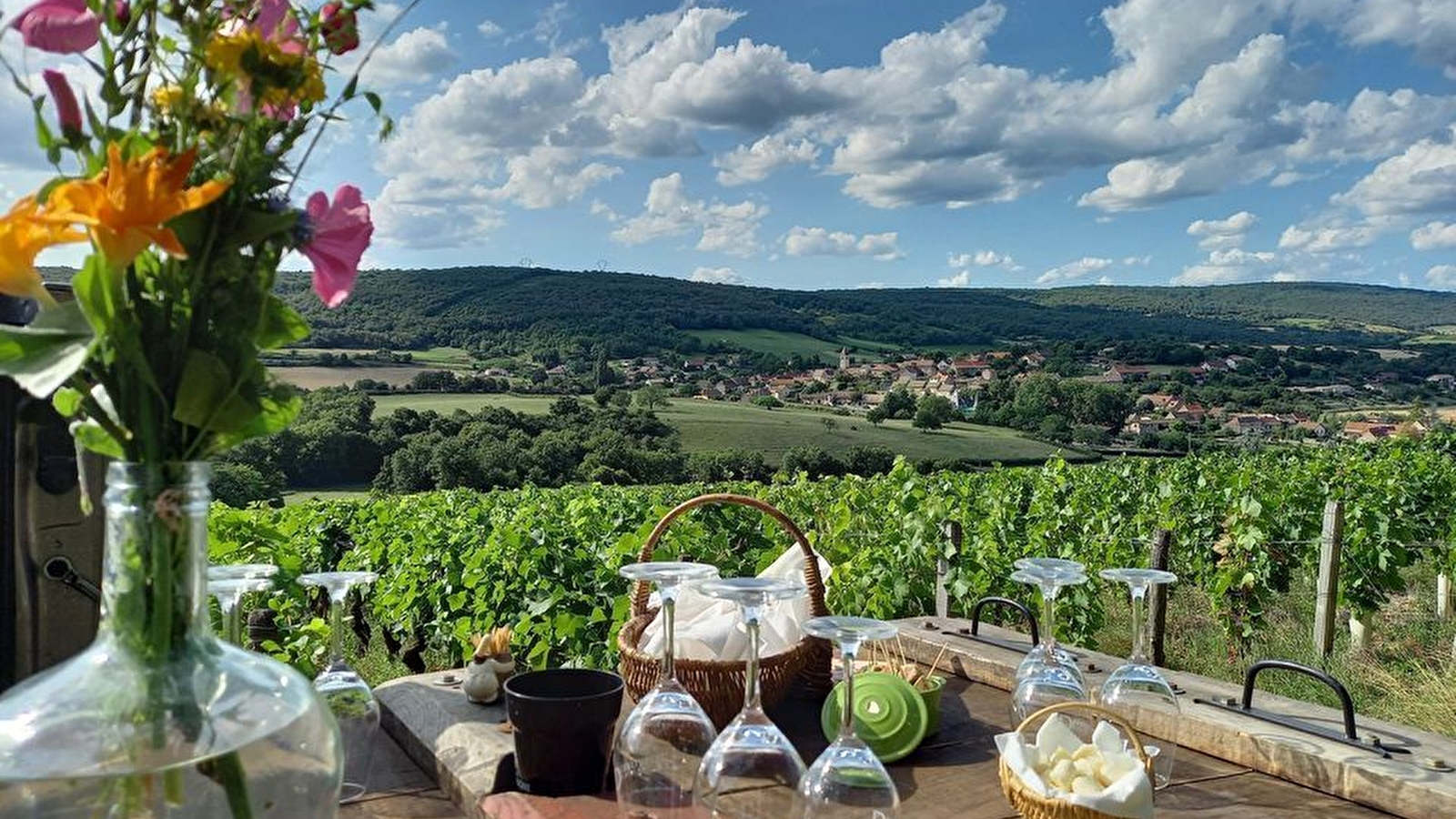 DEGUSTATION AU COEUR DES VIGNES