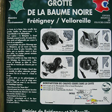 Grotte de la Baume Noire