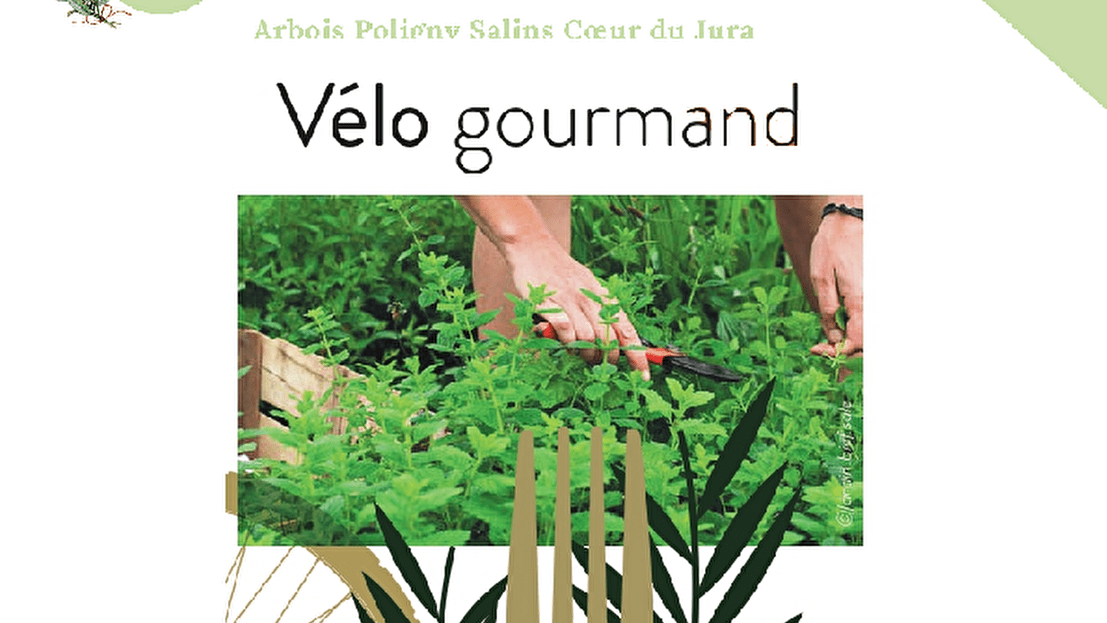Vélo gourmand